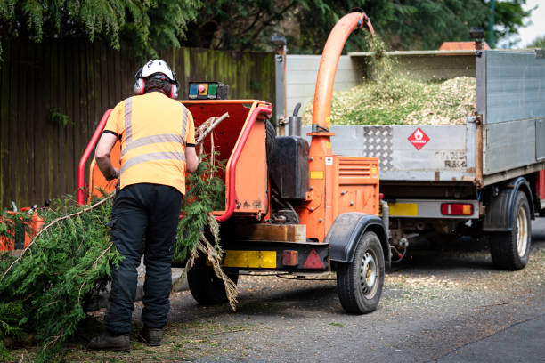 Best Tree Pruning Services  in Royalton, IL